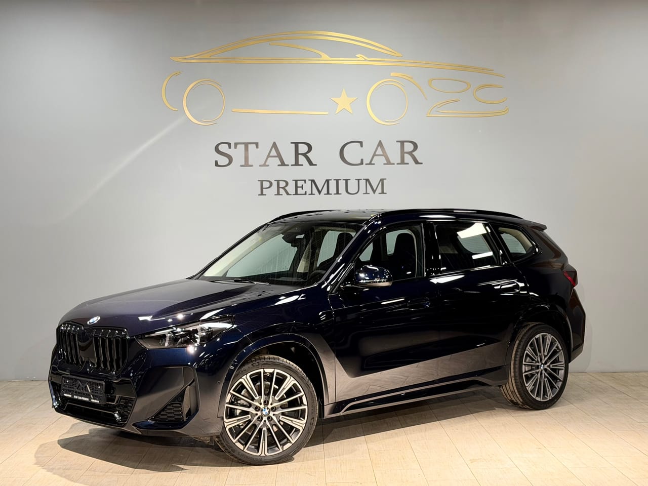 BMW X1 25LI