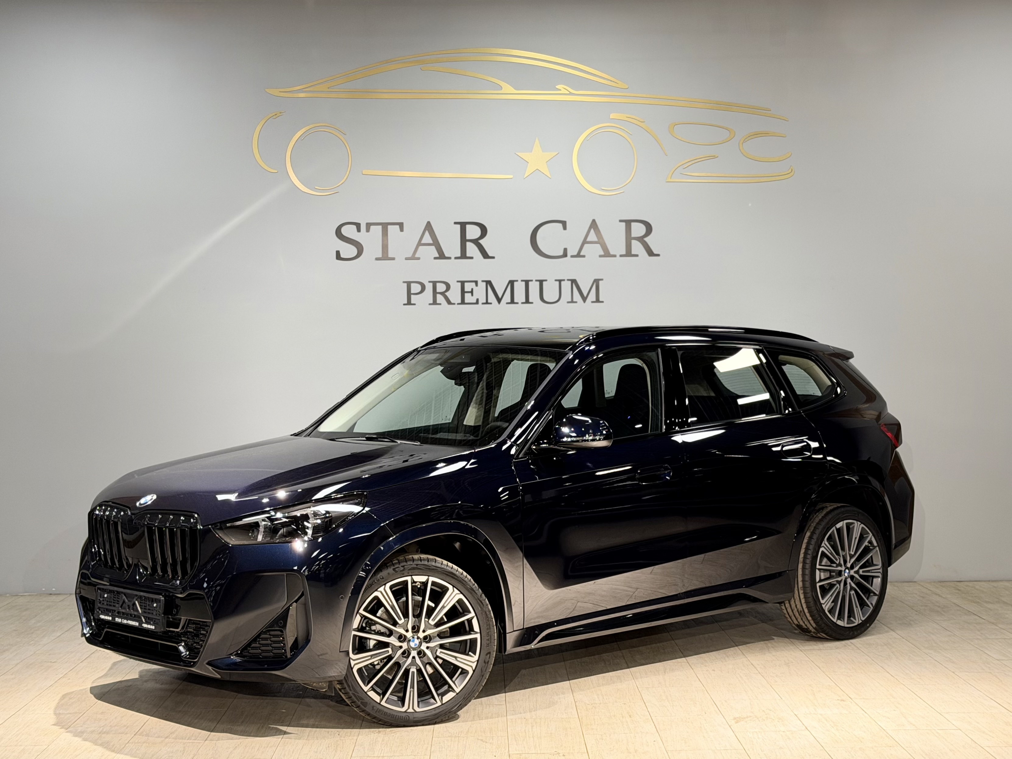 BMW X1 25LI